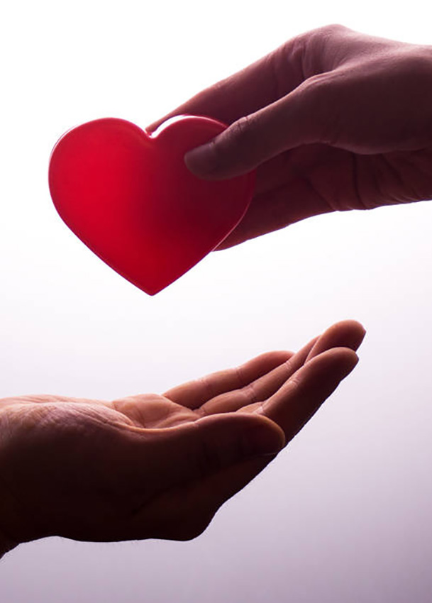 Δωρεά Μυελού των Οστών